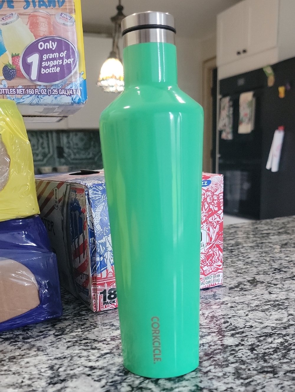 Corkcicle Green Stainless Steel Insulated Bottle